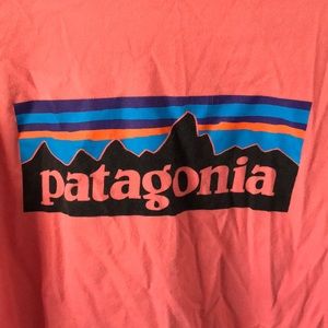 Patagonia Tshirt